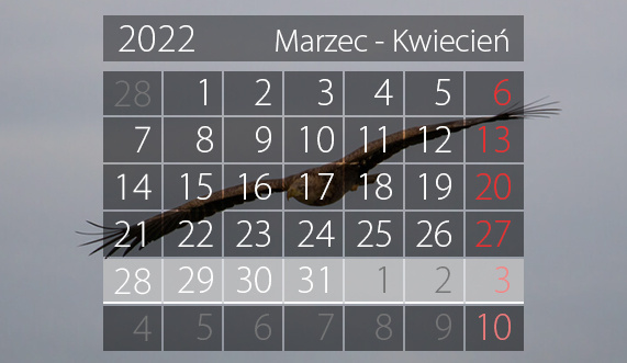 Elbląg, W tym tygodniu portEl poleca: spotkania autorskie i koncert wielkanocny Elbląg, W tym tygodniu portEl poleca: spotkania autorskie i koncert wielkanocny