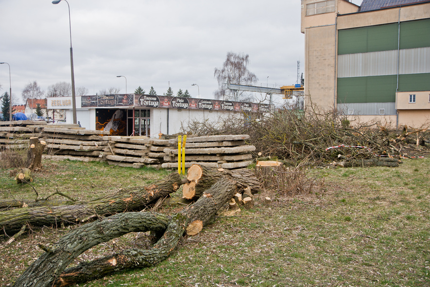 Elbląg, Wycięto drzewa, w planach apartamentowiec  (aktualizacja)