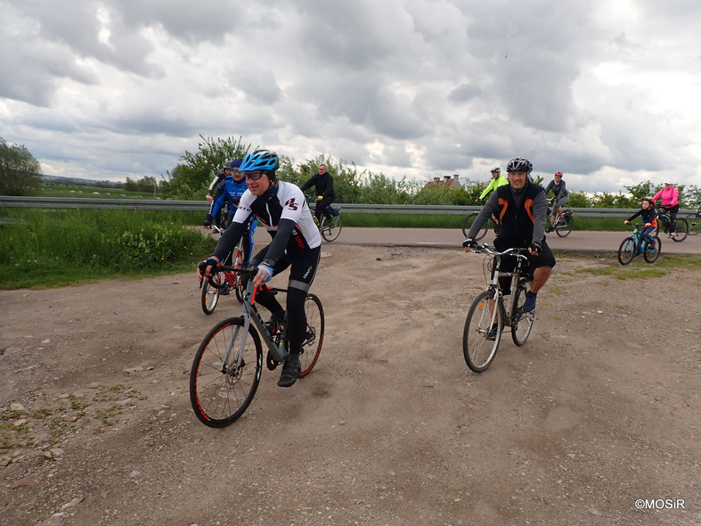 Elbląg, Rowerami ku paprociom Elbląg, Rowerami ku paprociom