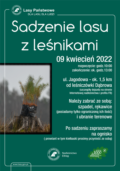 Elbląg, Sadzenie drzew z leśnikami Elbląg, Sadzenie drzew z leśnikami
