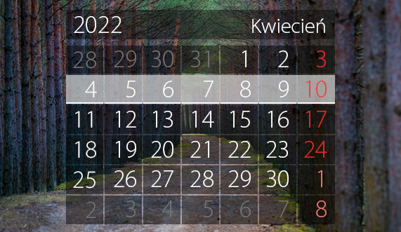 Elbląg, W tym tygodniu portEl poleca: Elbląg na dużym ekranie i jarmark wielkanocny Elbląg, W tym tygodniu portEl poleca: Elbląg na dużym ekranie i jarmark wielkanocny