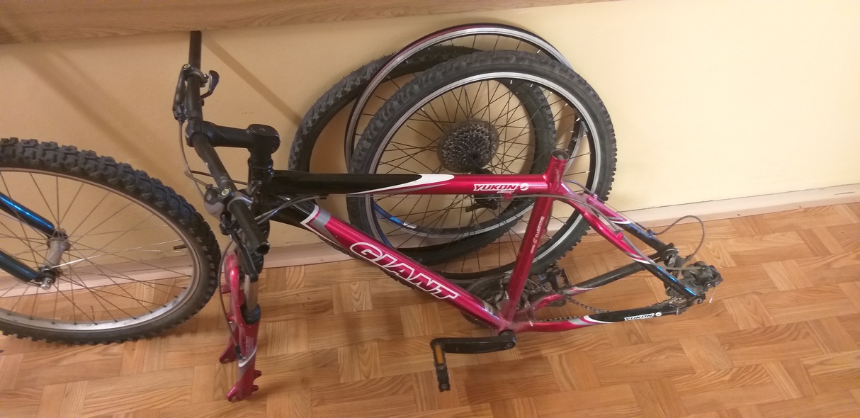 Elbląg, Odzyskane rowery poszukują właściciela, Elbląg, Odzyskane rowery poszukują właściciela,