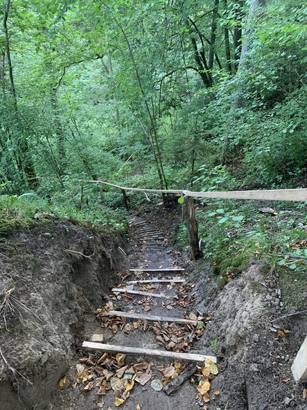 Elbląg, 50 minut do szczęścia, czyli dolina Wałszy  (Na spacer z portElem, odc. 1)