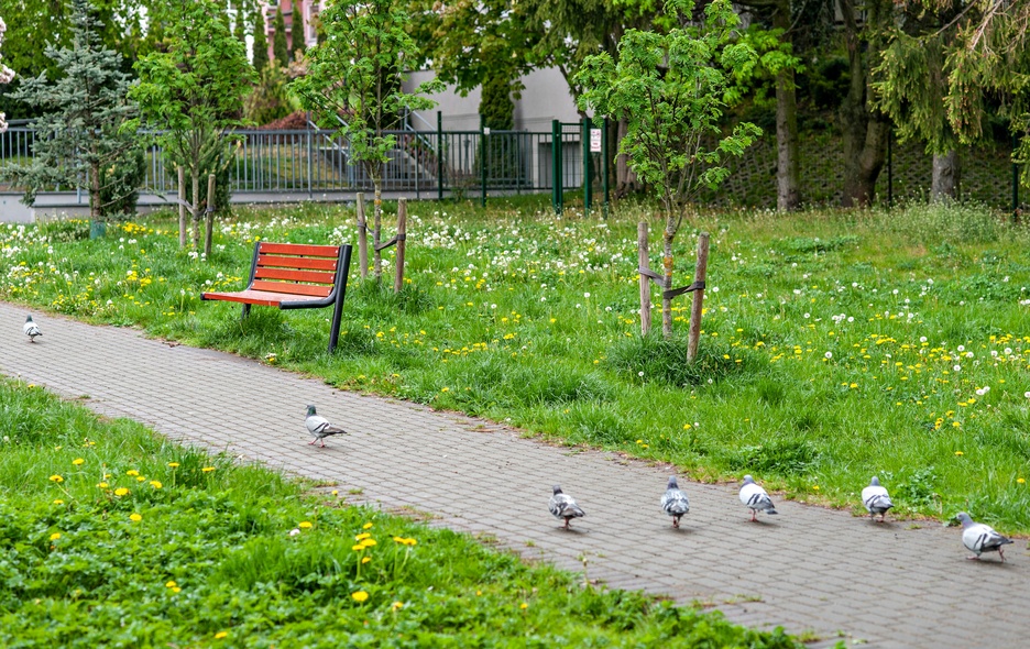 Elbląg, Zagrożenie czai się w cieniu