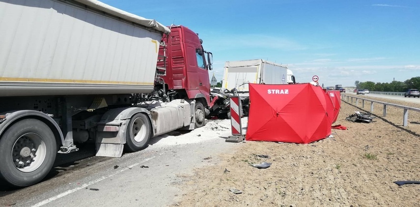 Elbląg, Po tragedii na drodze. Tymczasowy areszt dla kierowcy ciężarówki