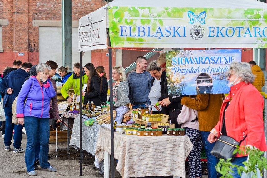 Elbląg, Urodzinowy jarmark elbląskiego Ekotargu Elbląg, Urodzinowy jarmark elbląskiego Ekotargu