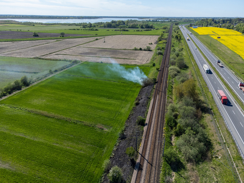 Elbląg, Wypalony pas nieużytków przy nasypie kolejowym wzdłuż drogi S7 Elbląg, Wypalony pas nieużytków przy nasypie kolejowym wzdłuż drogi S7