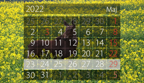 Elbląg, W tym tygodniu portEl poleca: konferencję o porcie i festyn z okazji Dnia Dziecka Elbląg, W tym tygodniu portEl poleca: konferencję o porcie i festyn z okazji Dnia Dziecka