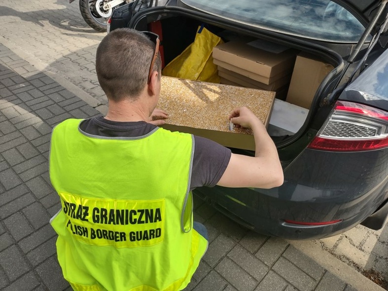Elbląg, Przewoził nielegalne papierosy, ale twierdził, że to nie jego Elbląg, Przewoził nielegalne papierosy, ale twierdził, że to nie jego