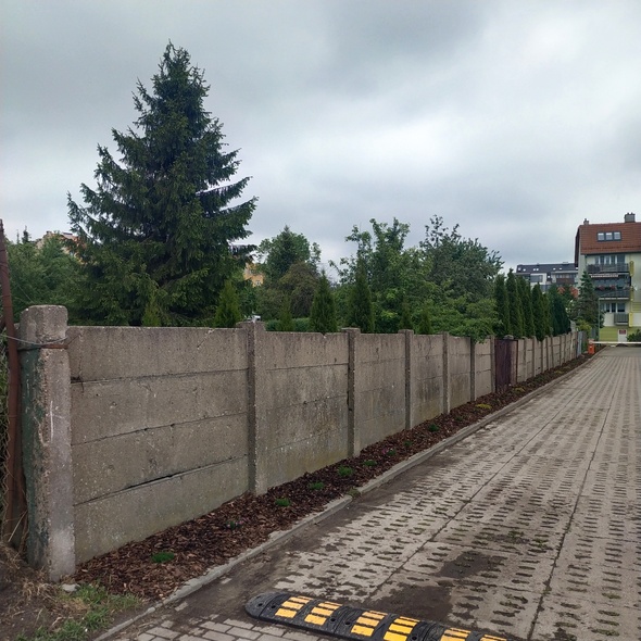 Elbląg, Chcą upiększyć Browarną muralem Elbląg, Chcą upiększyć Browarną muralem
