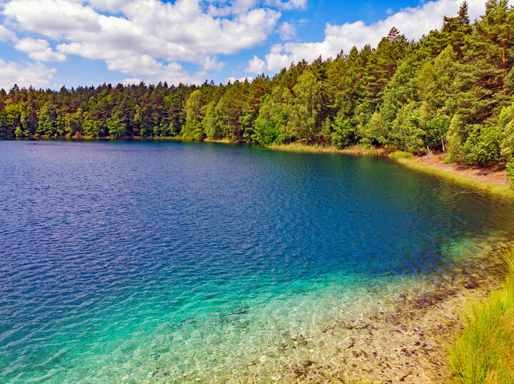 Elbląg, Jezioro Jasne ze względu na przejrzystość wody określone jest "polskimi Malediwami" (zdjęcie z konkursu Fotka Miesiąca, autor  PitElFoto)