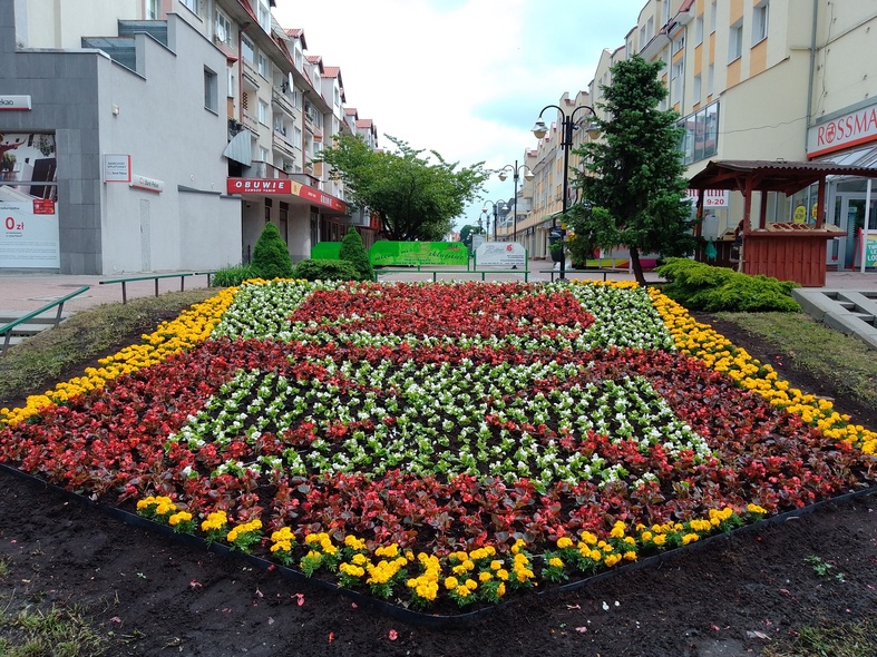 Elbląg, Elbląg przemówił kwiatami