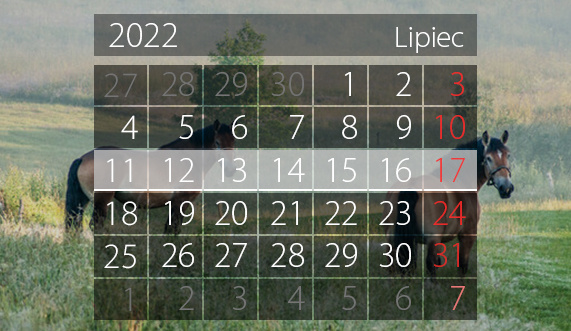 Elbląg, W tym tygodniu portEl poleca: Garmin Iron Triathlon i twórcze spotkania w przestrzeni miasta Elbląg, W tym tygodniu portEl poleca: Garmin Iron Triathlon i twórcze spotkania w przestrzeni miasta