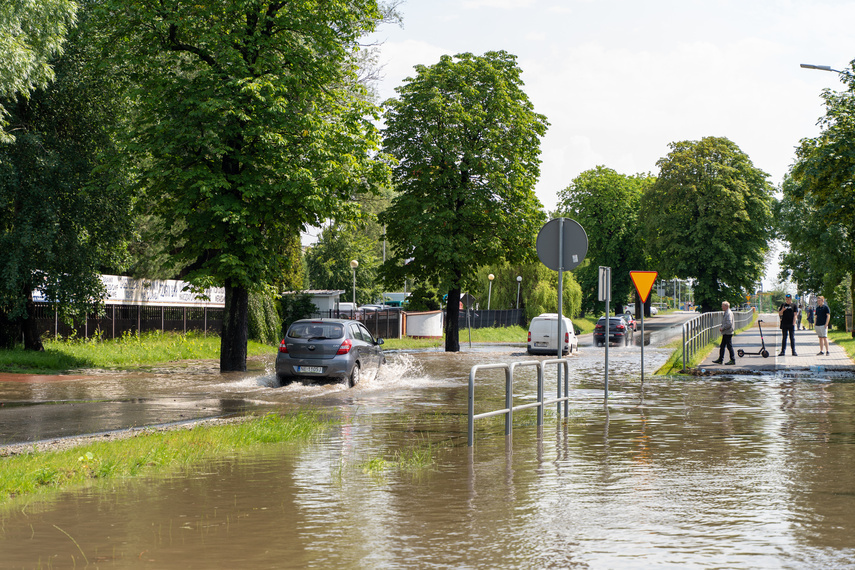 Elbląg, Quizowe podsumowanie lipca