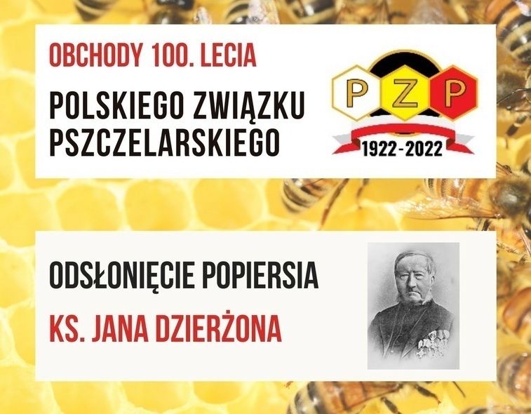 Elbląg, Pszczelarze świętują i zapraszają na targi Elbląg, Pszczelarze świętują i zapraszają na targi
