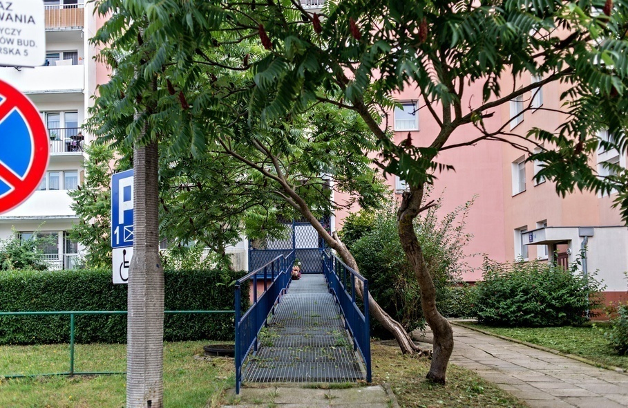 Elbląg, Drzewo opiera się o barierki podjazdu do mieszkania pana Rafała, Elbląg, Drzewo opiera się o barierki podjazdu do mieszkania pana Rafała,