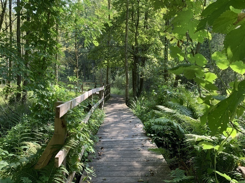 Elbląg, Leśne Arboretum Warmii i Mazur (Na spacer z portEl.pl, odc. 17) Elbląg, Leśne Arboretum Warmii i Mazur (Na spacer z portEl.pl, odc. 17)