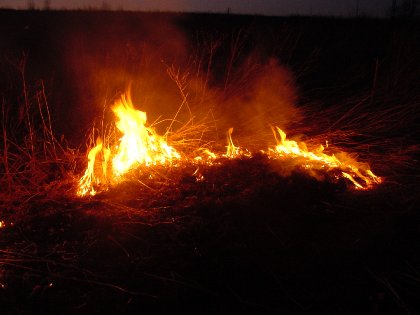 Elbląg, Płoną łaki w pobliżu Łęcza