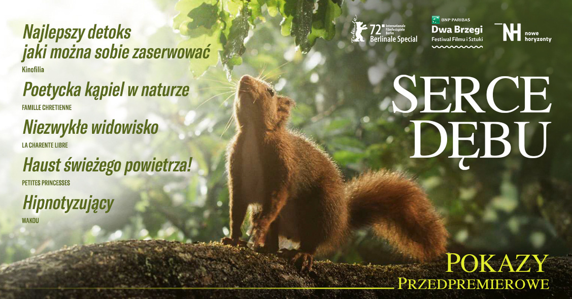 Elbląg, Przedpremierowe pokazy filmu "Serce dębu" Elbląg, Przedpremierowe pokazy filmu "Serce dębu"