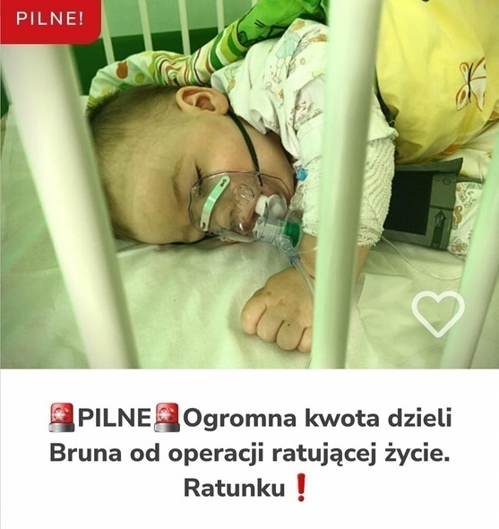 Elbląg, Pobiegnijmy dla Bruna! Elbląg, Pobiegnijmy dla Bruna!