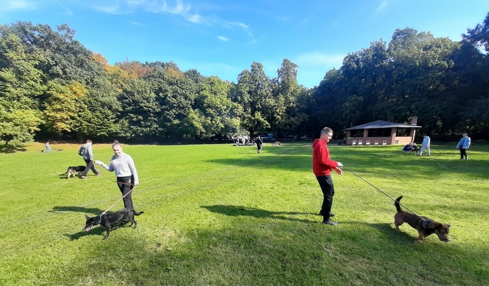 Elbląg, Nie ma złej pogody na spacer z psem ze schroniska Elbląg, Nie ma złej pogody na spacer z psem ze schroniska