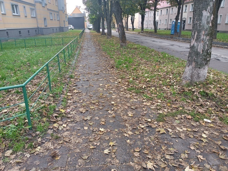 Elbląg, Mieszkanka: Co z tym chodnikiem na Okrzei?
