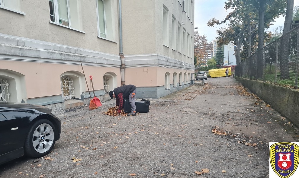Elbląg, Sprzątanie liści przed prywatnymi posesjami to obowiązek Elbląg, Sprzątanie liści przed prywatnymi posesjami to obowiązek