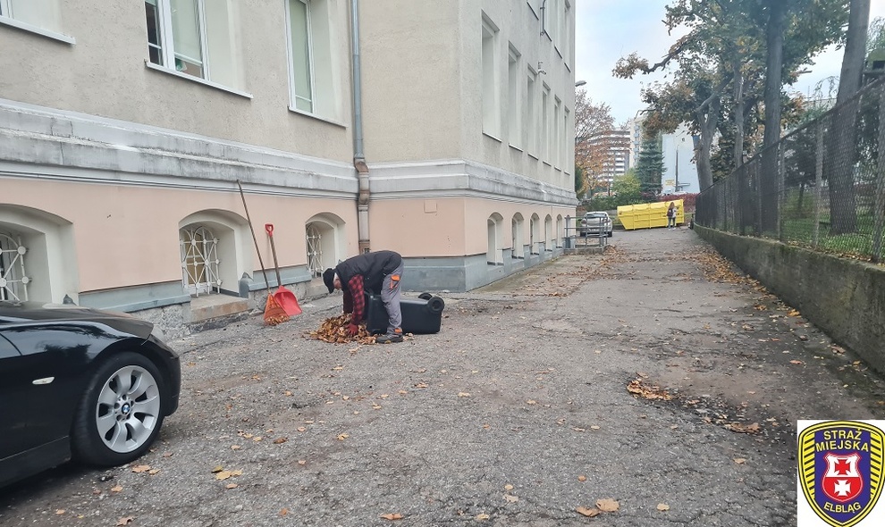 Elbląg, Sprzątanie liści przed prywatnymi posesjami to obowiązek