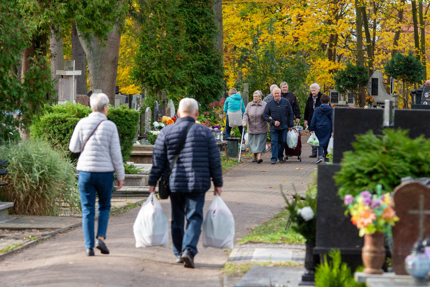 Elbląg, Elblążanie szykują się na 1 i 2 listopada Elbląg, Elblążanie szykują się na 1 i 2 listopada