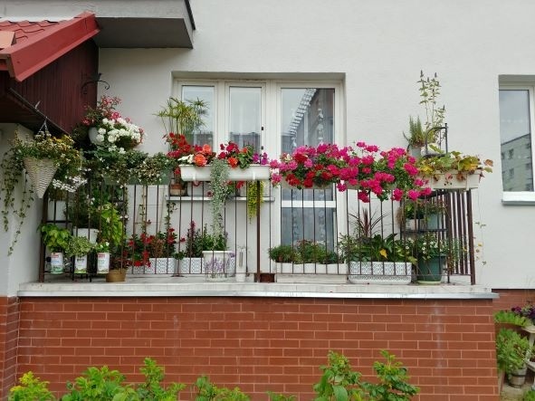 Elbląg, Pierwsze miejsce w konkursie zajął balkon Małgorzaty Dawidowskiej Elbląg, Pierwsze miejsce w konkursie zajął balkon Małgorzaty Dawidowskiej