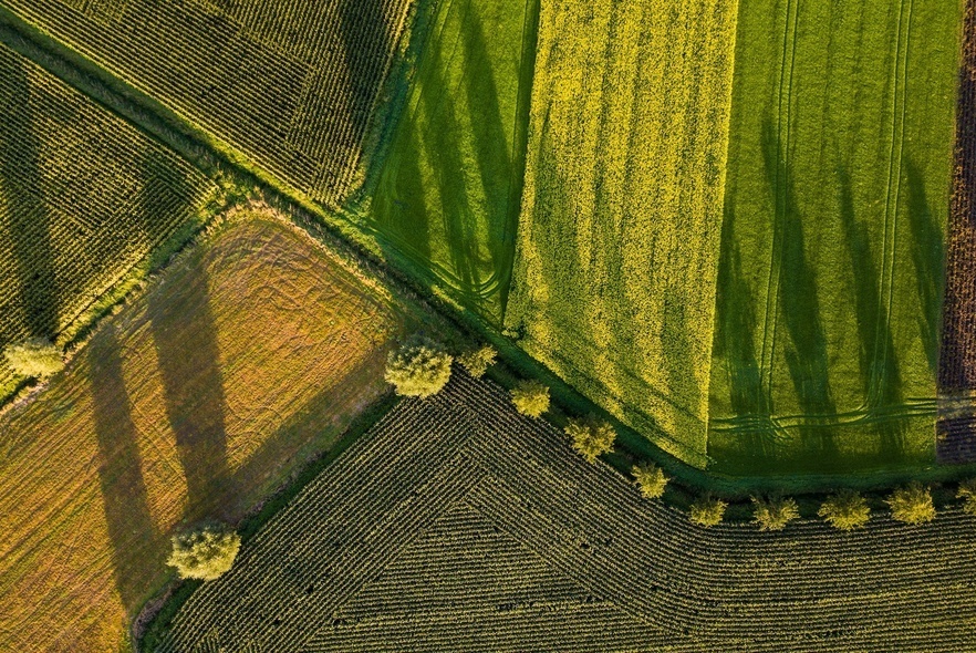 Księga wieczysta działki - jak ją sprawdzić? Księga wieczysta działki - jak ją sprawdzić?