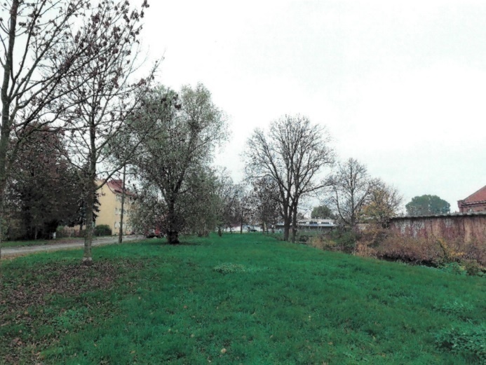 Elbląg, Tu mógłby powstać plac zabaw. Widok w kierunku skrzyżowania ulic Grochowskiej z Nowodworską. Elbląg, Tu mógłby powstać plac zabaw. Widok w kierunku skrzyżowania ulic Grochowskiej z Nowodworską.