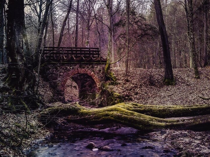 Elbląg, Jest sobota, jest quiz. Zgadnij, gdzie zrobiono te zdjęcia
