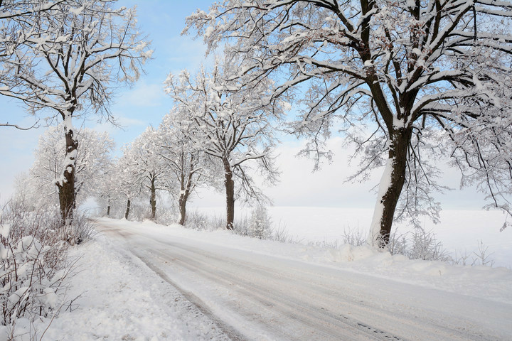 Elbląg, Zdjęcie jest tylko ilustracją do tekstu,