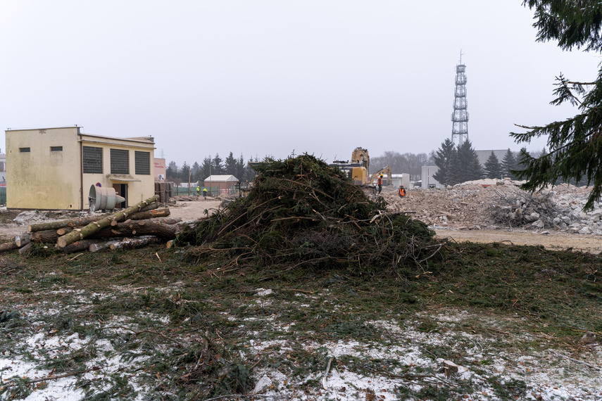Elbląg, Z terenu budowy zniknie ponad 200 drzew Elbląg, Z terenu budowy zniknie ponad 200 drzew
