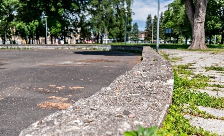 Elbląg, Parki doczekają się zmian