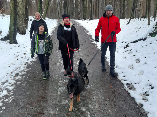 Elbląg, 4 lutego wyprowadź na spacer bezdomnego psa