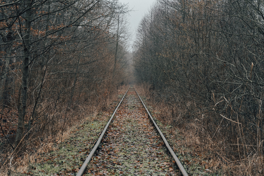Elbląg, Widok na torowisko Kolei Nadzalewowej po przeprowadzeniu prac odlesiania i wykaszania, Elbląg, Widok na torowisko Kolei Nadzalewowej po przeprowadzeniu prac odlesiania i wykaszania,