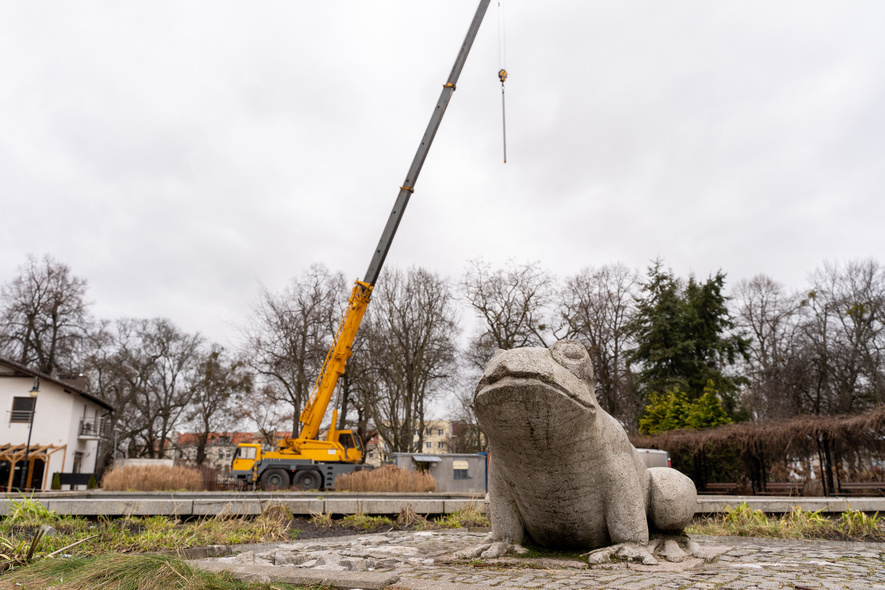 Elbląg, Żabka zmienia otoczenie