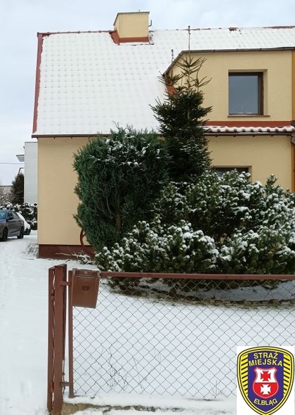 Elbląg, Mandat za brak numeru porządkowego Elbląg, Mandat za brak numeru porządkowego