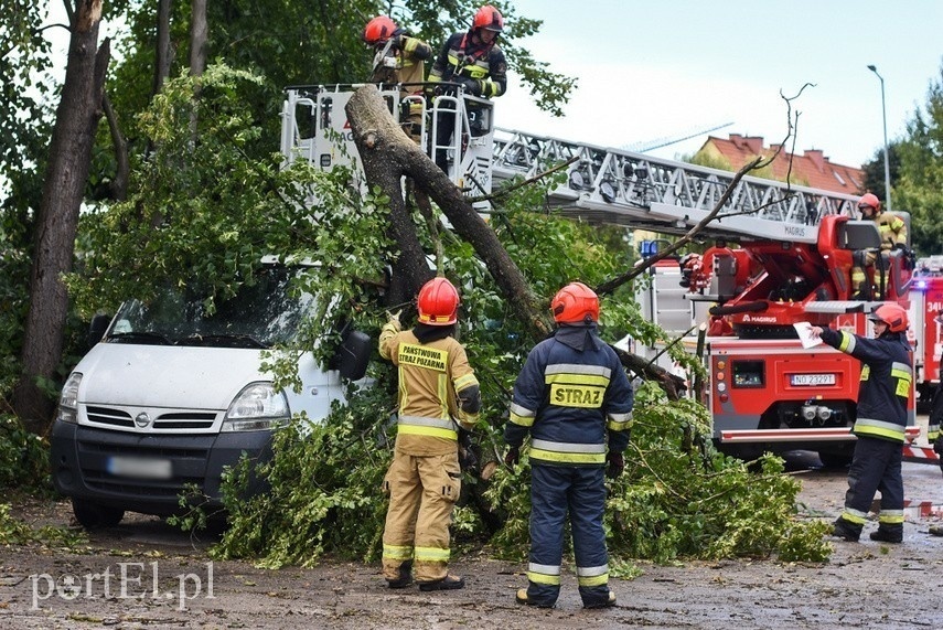 Elbląg, Skutki wichury w 2020 roku w Elblągu