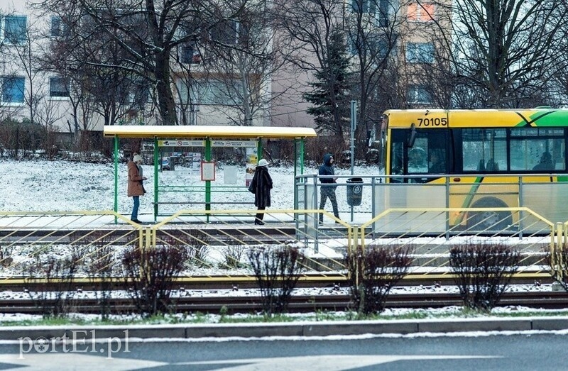 Elbląg, Autobusy jeździły w kratkę Elbląg, Autobusy jeździły w kratkę