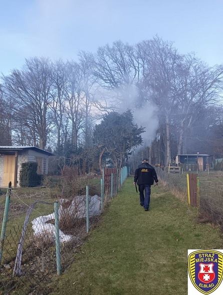 Elbląg, Przypomnienie o zakazie spalania odpadów zielonych Elbląg, Przypomnienie o zakazie spalania odpadów zielonych