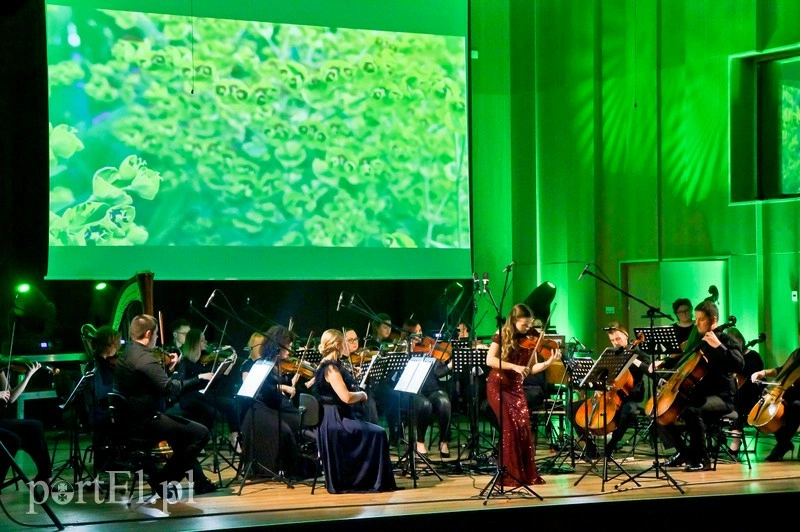 Elbląg, Jedyny taki wieczór z Vivaldim - Vivaldisco Elbląg, Jedyny taki wieczór z Vivaldim - Vivaldisco