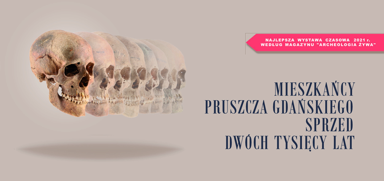 Elbląg, Nowa wystawa archeologiczna w elbląskim muzeum Elbląg, Nowa wystawa archeologiczna w elbląskim muzeum