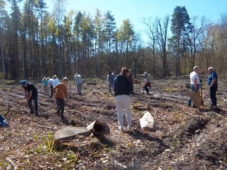 Elbląg, W Kadynach posadzono ponad tysiąc drzew Elbląg, W Kadynach posadzono ponad tysiąc drzew