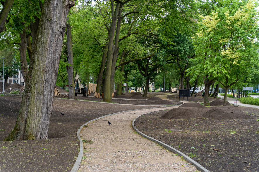 Elbląg, Przez park będzie przebiegać nowa ścieżka rowerowa Elbląg, Przez park będzie przebiegać nowa ścieżka rowerowa