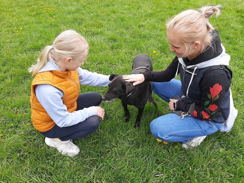 Elbląg, W czerwcu wyrusz z psem na spacer na 6 łap