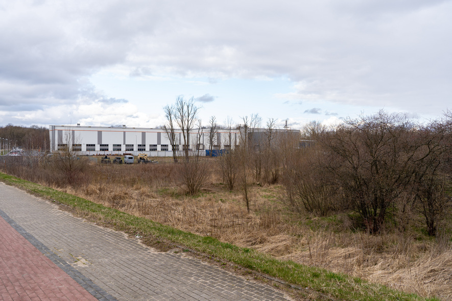 Elbląg, Działka na Modrzewinie - podejście drugie Elbląg, Działka na Modrzewinie - podejście drugie
