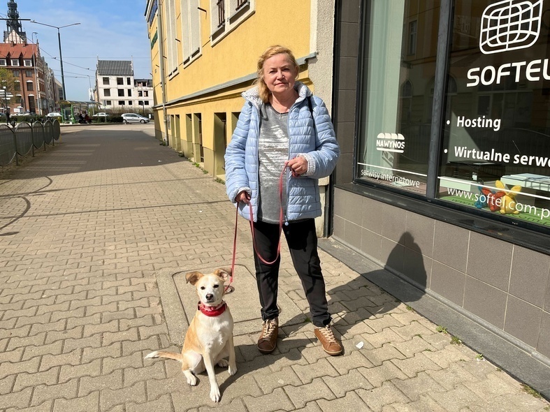 Elbląg, Pani Ewa apeluje o zmiany w regulaminie przewozu zwierząt miejską komunikacją Elbląg, Pani Ewa apeluje o zmiany w regulaminie przewozu zwierząt miejską komunikacją